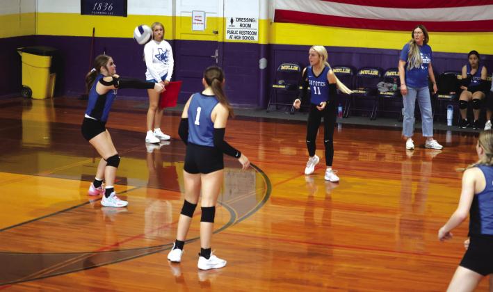 # 9 Jadeyn Jordan
