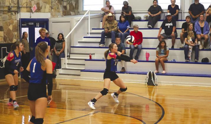 # 12 Brinlyn Mann