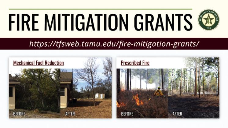Texas A&amp;M Forest Service awards over $450,000 in Community Wildfire Risk Reduction Grants
