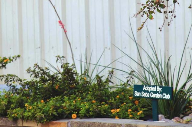 Lovely new gold lantana flanks San Saba Garden Club sponsorship sign.