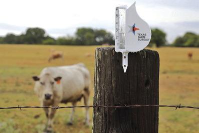 Courtesy of Texas Agriculture Daily