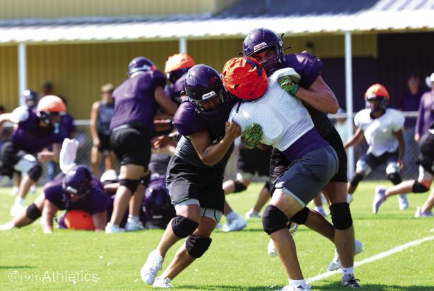 Meet the Dillos / Purple-Gold Scrimmage
