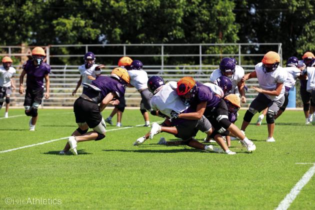 Meet the Dillos / Purple-Gold Scrimmage