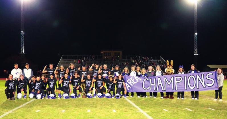 Coyotes advance to Regional IV Final