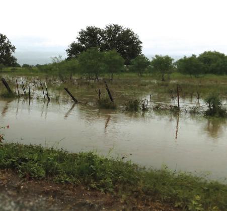 This photo was taken in San Saba County on FM 1480 this past Sunday morning. Courtesy of Carolyn Boswell Preece