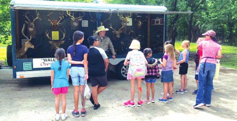 RAIN OR SHINE...Kids' Nature Kamp 2021 a success!