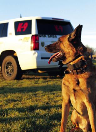 K9 Andor assists Sheriff's Office in drug bust