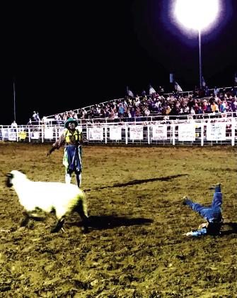 Four-year-old Dedmon Broyles competes in the Mutton Buster Contest. Dedmon is the son of Colt and Callie Broyles. Photo by Andy Broyles, proud Grandpa