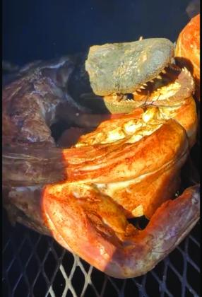 Two alligators smoked outside for several hours to be added to the buffet line.