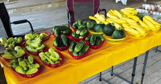 Richland Springs Farmer’s Market Saturday