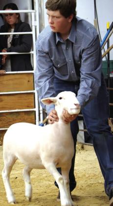 Several RSHS student participants from the San Saba County Livestock show