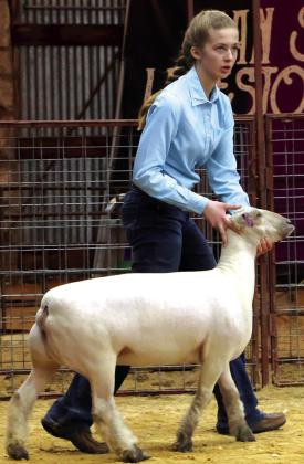 Several RSHS student participants from the San Saba County Livestock show