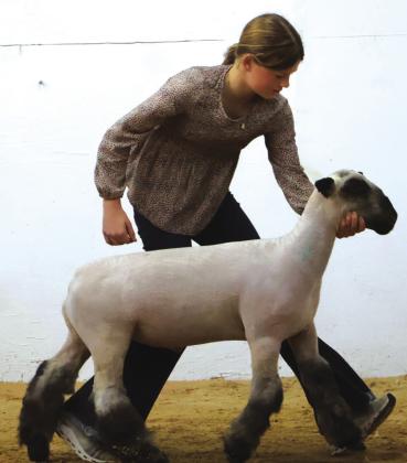 Several RSHS student participants from the San Saba County Livestock show