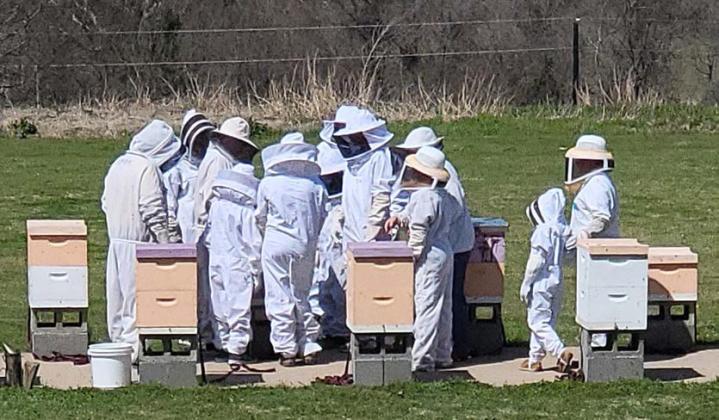 Families watch as a beekeeper examines a hive, looking for the queen and honey amid the worker bees.