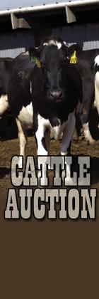 Mason San Saba