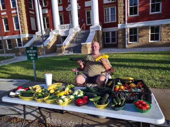 Dale Rogers and his produce stand in front of Courthouse last Wednesday, July 26th. His table of produce included: tomatoes (red and green), cherry tomatoes, squash, patty pan squash (scallop squash), yellow squash (summer squash), okra.