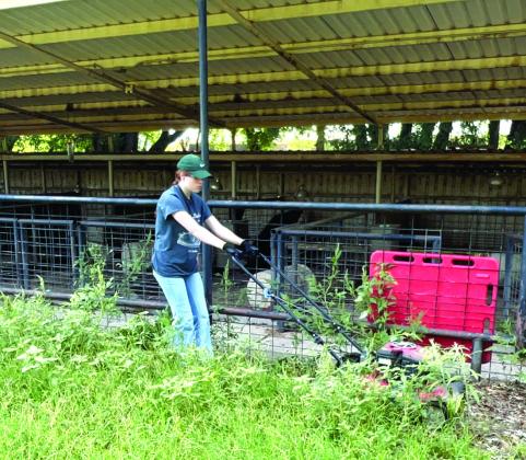 A teen girl from Westhill Church of Church of Christ mowing
