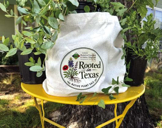 Rooted in Texas Native Plant Sale on October 17, 2026