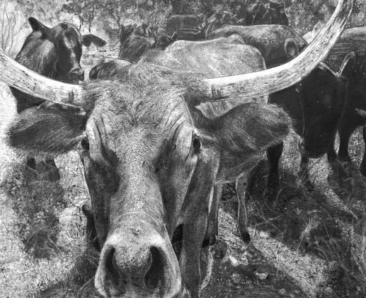 This Longhorn was Keyln Yanez’s winning artwork. | Photo by Shara Wright | TAEA Region 15 Representative