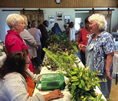 Presenter Donna McKinney (right) discussing floral arranging with members Janice Bates and Sarah Lott.