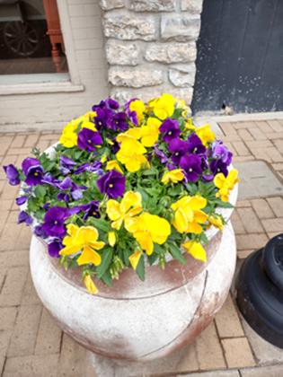 Making San Saba Beautiful