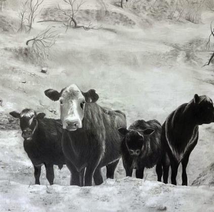 Third Place - “Cows” by Grace Shahan, San Saba High School