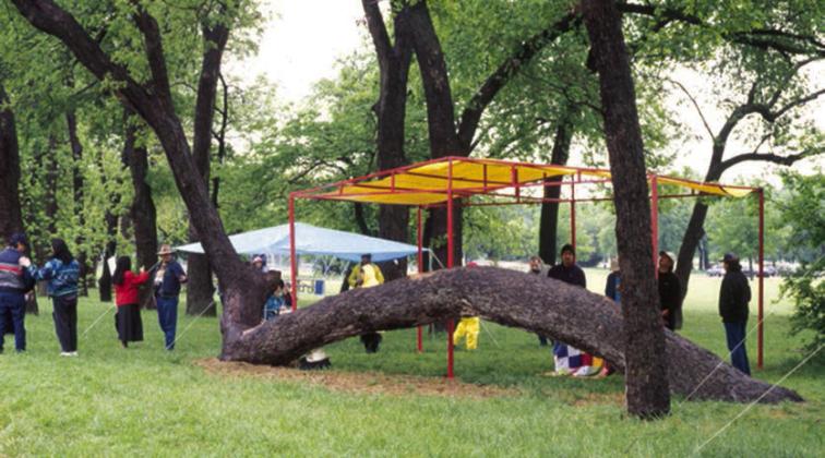 Gateway Park Marker Tree, Great Trinity Forest, Dallas, Texas, first Marker Tree recognized by the Comanche Nation, 1997, photo © Doug Taylor