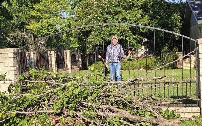 Hugo Preece is seen here as this pile of broken limbs on Riggs Street in San Saba just keeps growing. Photo by Carolyn Preece