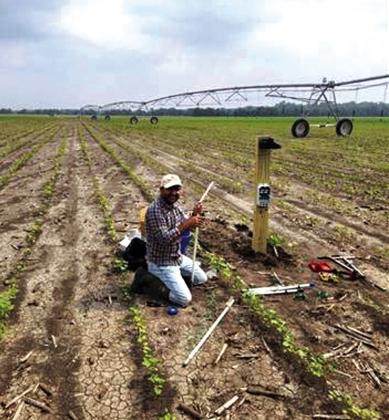 Smart irrigation sensor program helps farmers conserve water