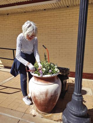 KSSB's Rhonda Killion was busy Monday cleaning out the flower pots downtown. Photo by Djuana Payton