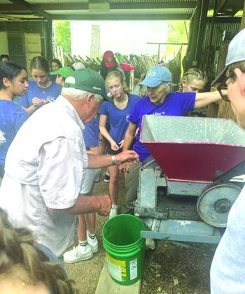 Mr. Byrd is a showing the girls a pecan cracker. They shook a tree for the girls (even though it was a week or two early), and then they gathered the pecans and cracked them.
