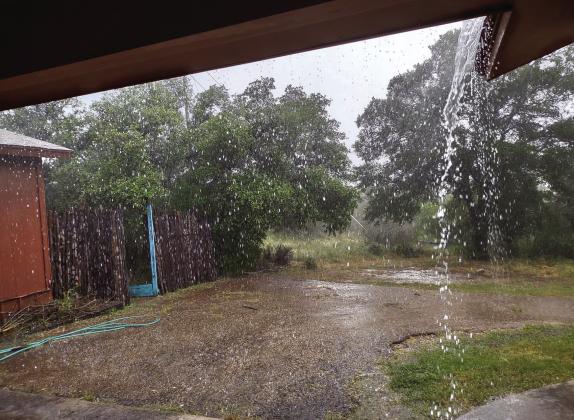 Courtesy of Djuana Payton, just east of Mill Pond Park