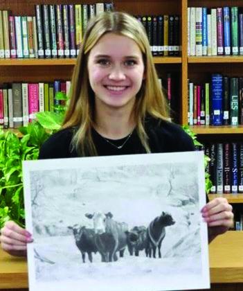 Contests for SSHS Art Students