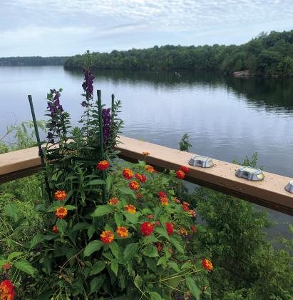 A beautiful Canada view - courtesy of Sue Ramsom’s Canada trip!