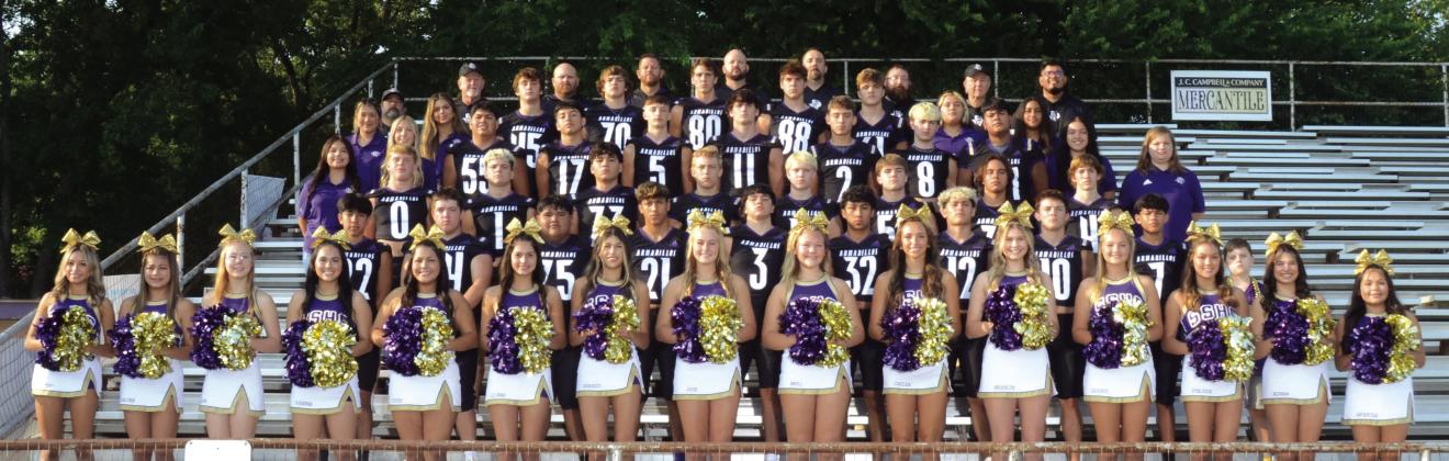 San Saba Armadillo Football All-District Awards