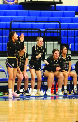 Lady Dillo benching cheering on team