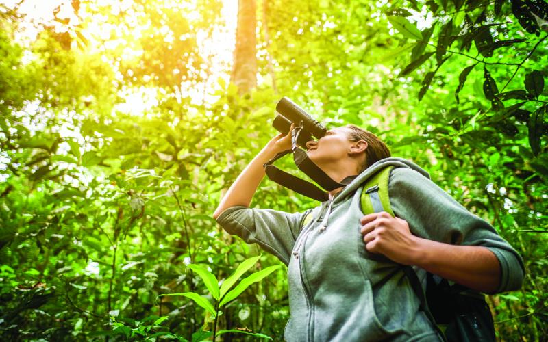 The 30th annual  Great Texas Birding Classic runs from April 15-May 15