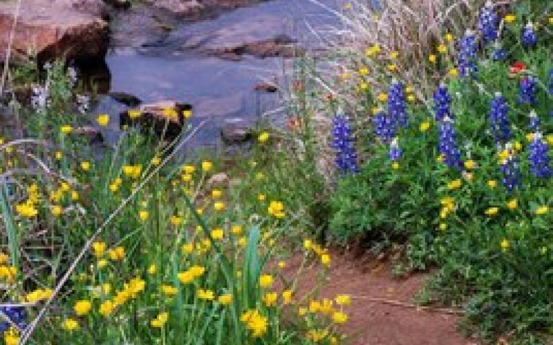 Texas Parks &amp; Wildlife Department