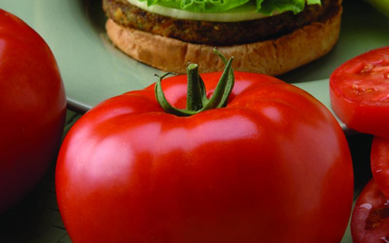 Big Beef tomato has remained one of the most popular red tomatoes in North America with its 8-to-12-ounce fruit. Courtesy of All-America Selections