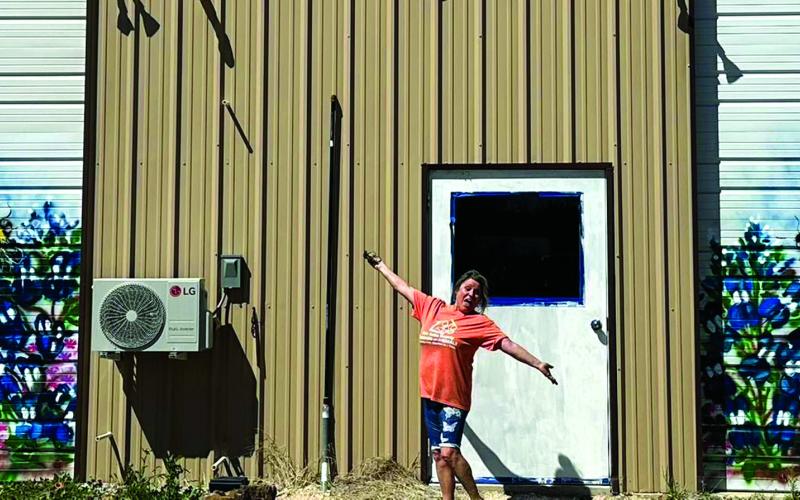 Local artist Mae Claire helps bring life to new animal shelter