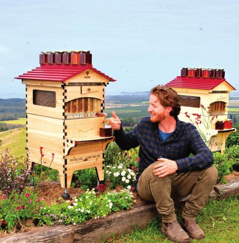 Cedar Anderson, inventor of the Flow Hive, removes honey without opening his hives. He will answer questions via a live Skype session at the Bee School in Brenham on March 26th.