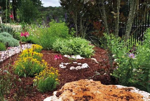 Native Backyard Landscaping © Native Plant Society of Texas, Courtesy of the Texas Botanical Gardens &amp; Native American Interpretive Center, Inc.