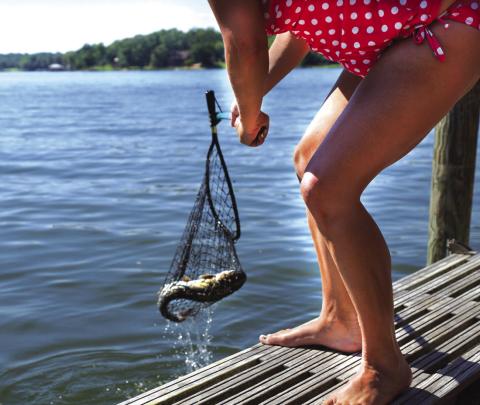 Catfish stocking arrives at Neighborhood Fishin’ lakes in April