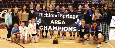 Lady Coyotes Volleyball - Area Champs!