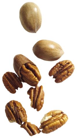 2023 Regional Pecan Show Results