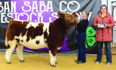 Junior Cattle Showmanship - Taylor Wise
