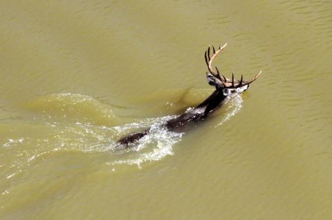Photo courtesy of Macy Ledbetter | www.SpringCreekOutdoors.com