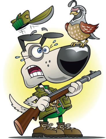 Quail Surveys raise expectations for another quality hunting season