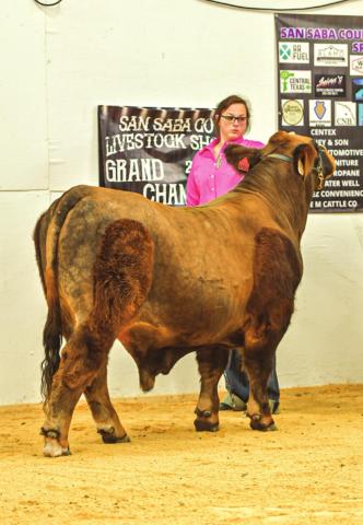 More 2021 San Saba County Stock Show Results