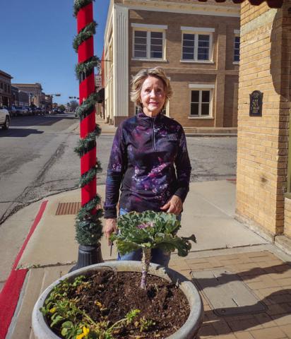 Kathleen Hawkins with KSSB, tool in hand, fights the cold wind to clean out the planters downtown.